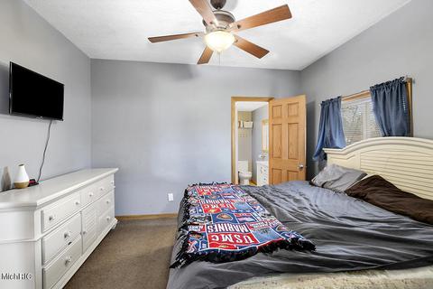 203 W Pine St, Edmore, MI 48829 photo 14