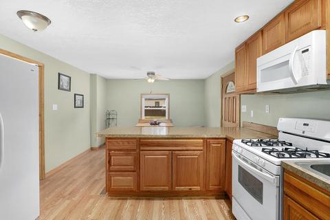 203 W Pine St, Edmore, MI 48829 photo 10