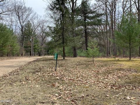 1216 W Beaver Rd, Bitely, MI 49309 photo 39