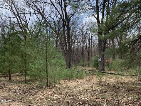 1216 W Beaver Rd, Bitely, MI 49309 photo 33