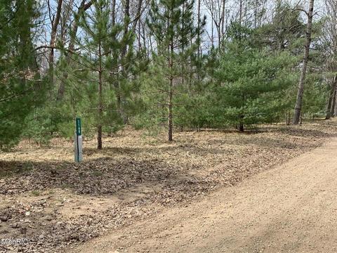 1216 W Beaver Rd, Bitely, MI 49309 photo 38