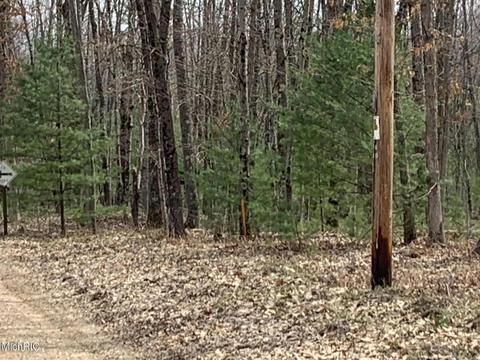 1216 W Beaver Rd, Bitely, MI 49309 photo 37