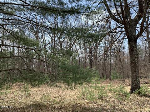 1216 W Beaver Rd, Bitely, MI 49309 photo 28