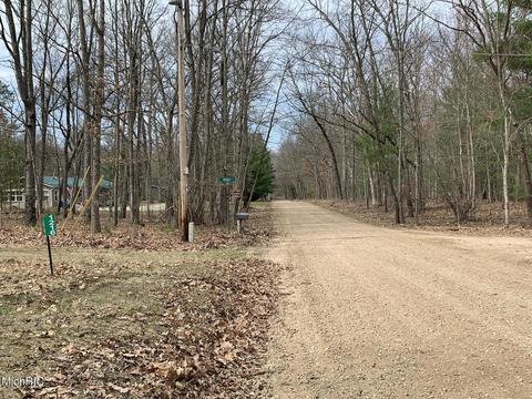 1216 W Beaver Rd, Bitely, MI 49309 photo 41