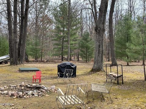 1216 W Beaver Rd, Bitely, MI 49309 photo 23