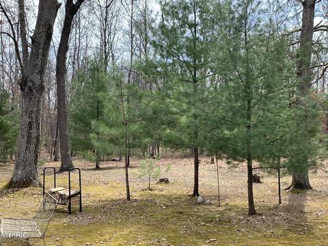 1216 W Beaver Rd, Bitely, MI 49309 photo 22