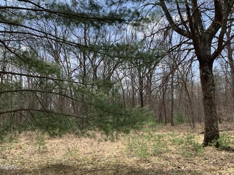 1216 W Beaver Rd, Bitely, MI 49309 photo 29