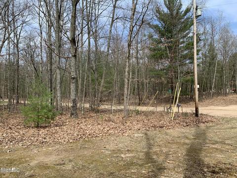 1216 W Beaver Rd, Bitely, MI 49309 photo 20