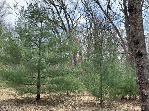 1216 W Beaver Rd, Bitely, MI 49309 photo 34