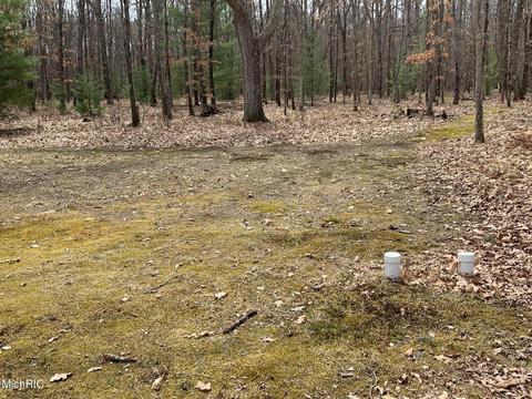 1216 W Beaver Rd, Bitely, MI 49309 photo 25
