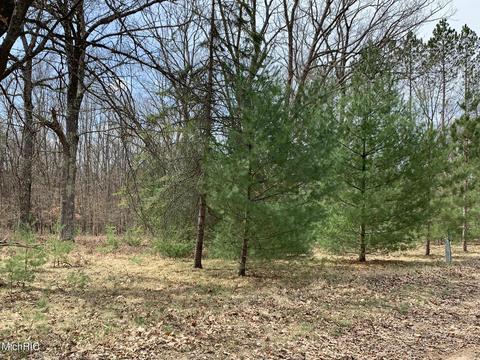 1216 W Beaver Rd, Bitely, MI 49309 photo 30