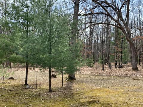 1216 W Beaver Rd, Bitely, MI 49309 photo 24