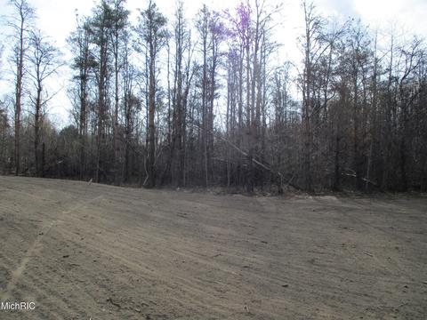 459 Sophia Way, Pullman, MI 49450 photo 7