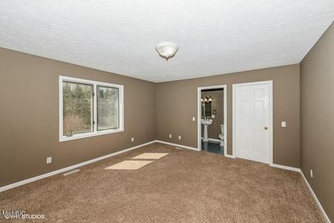 7556 Parsonage Rd, Saranac, MI 48881 photo 17