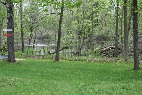 3780 Buttrick Ave SE, Ada, MI 49301 photo 73