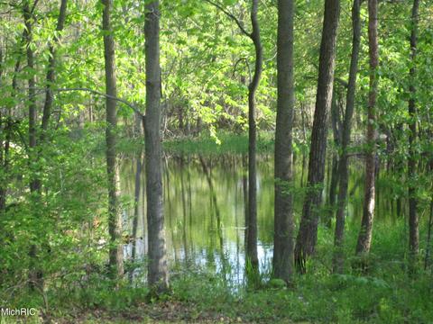 3780 Buttrick Ave SE, Ada, MI 49301 photo 53