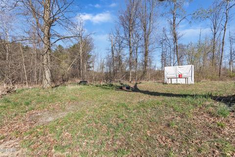 550 S Bliss Rd, Sumner, MI 48889 photo 38