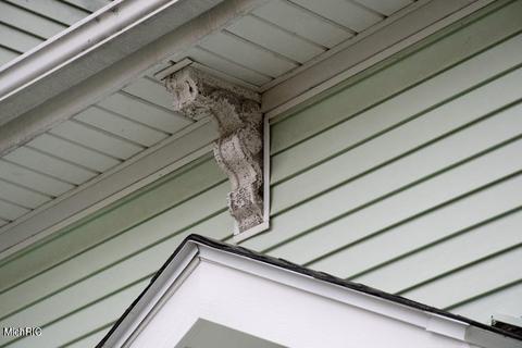 217 S Okeefe St, Cassopolis, MI 49031 photo 19