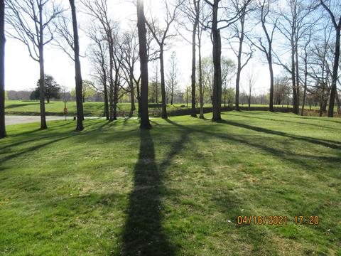 17052 Limberlost Rd, Three Rivers, MI 49093 photo 80