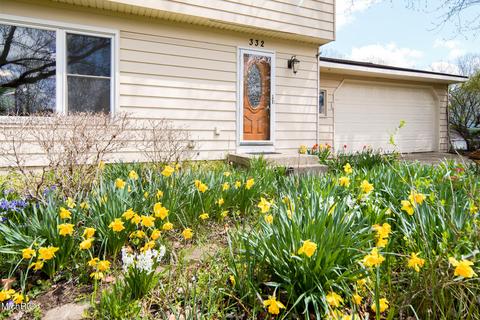 332 Springreene Dr SE, Ada, MI 49301 photo 3