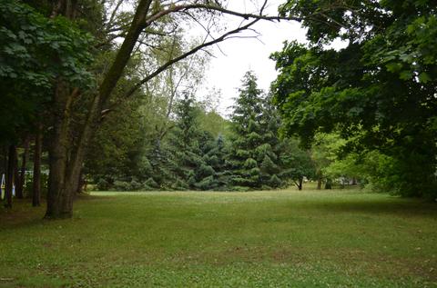 630 E State St, Colon, MI 49040 photo 3