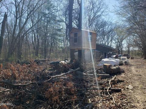 11753 Miller Rd, Belding, MI 48809 photo 8