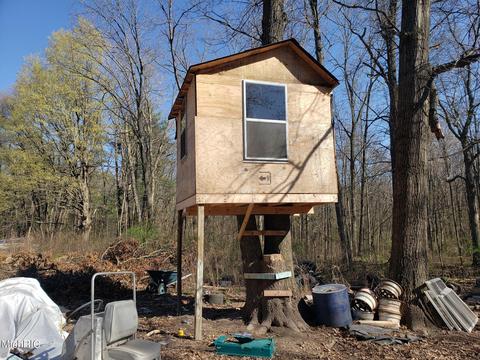 11753 Miller Rd, Belding, MI 48809 photo 7