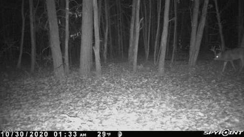 11753 Miller Rd, Belding, MI 48809 photo 14