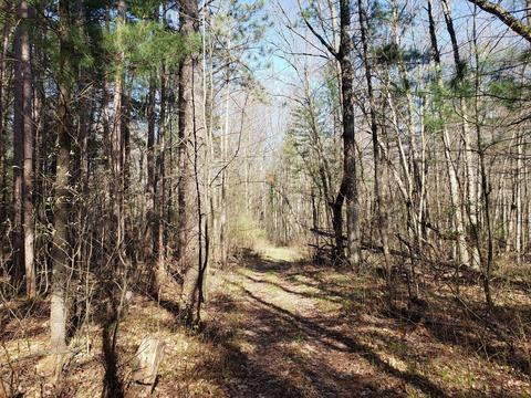 11753 Miller Rd, Belding, MI 48809 photo 12