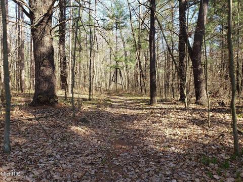 11753 Miller Rd, Belding, MI 48809 photo 13