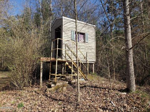 11753 Miller Rd, Belding, MI 48809 photo 9