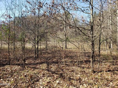 11753 Miller Rd, Belding, MI 48809 photo 10
