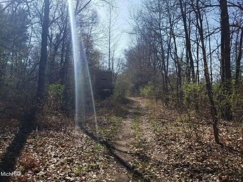 11753 Miller Rd, Belding, MI 48809 photo 11