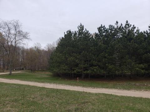 6602 Beech Byp, Custer, MI 49405 photo 25