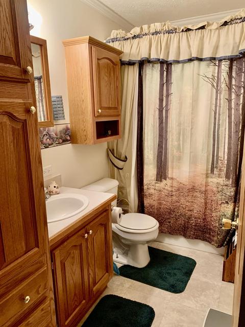 6602 Beech Byp, Custer, MI 49405 photo 15