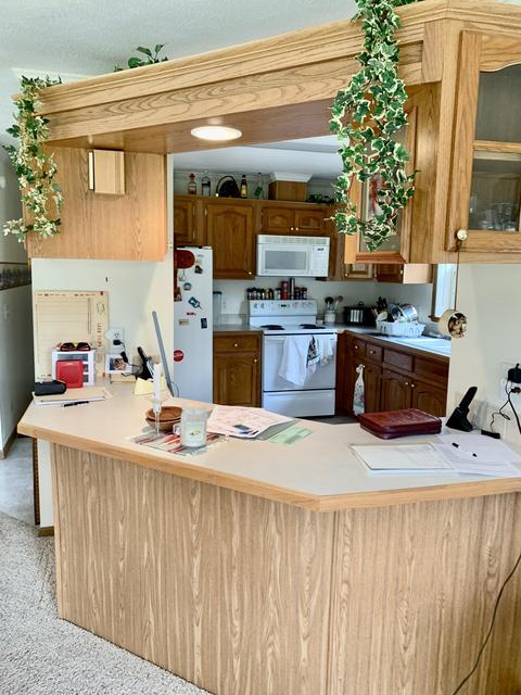 6602 Beech Byp, Custer, MI 49405 photo 10