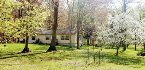 6602 Beech Byp, Custer, MI 49405 photo 2