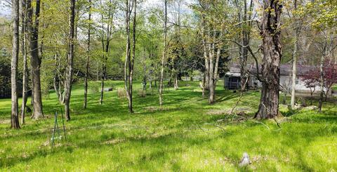 6602 Beech Byp, Custer, MI 49405 photo 5