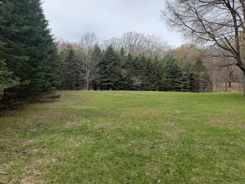6602 Beech Byp, Custer, MI 49405 photo 26