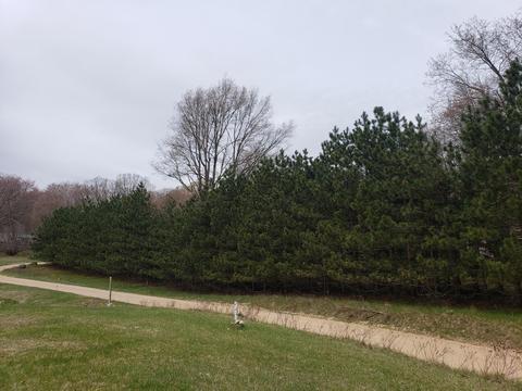 6602 Beech Byp, Custer, MI 49405 photo 30