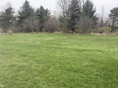 719 E Main St, Marion, MI 49665 photo 25