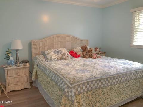 862 W Shore Rd, Bronson, MI 49028 photo 22