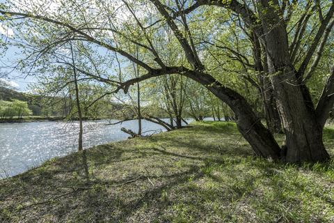 9590 Fulton St E, Ada, MI 49301 photo 13