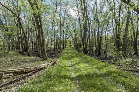9590 Fulton St E, Ada, MI 49301 photo 2