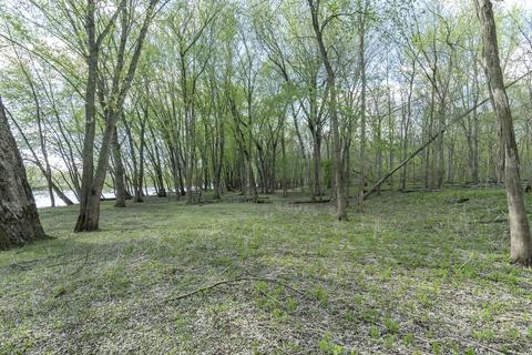 9590 Fulton St E, Ada, MI 49301 photo 16