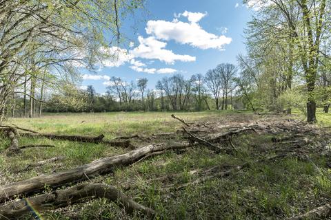 9590 Fulton St E, Ada, MI 49301 photo 4