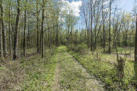 9590 Fulton St E, Ada, MI 49301 photo 3
