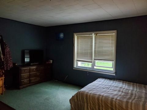 548 W Hayes Rd, Ithaca, MI 48847 photo 19