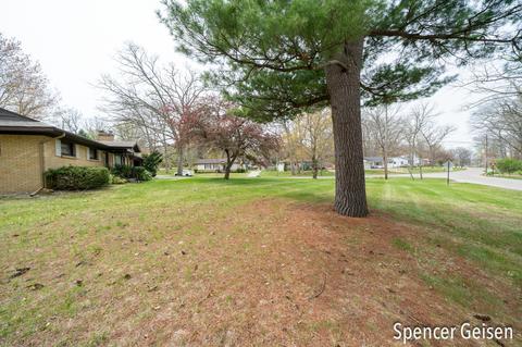 915 Park St, Belding, MI 48809 photo 36