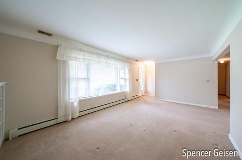 915 Park St, Belding, MI 48809 photo 9